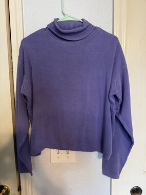 Nordstrom Turtleneck Sweater